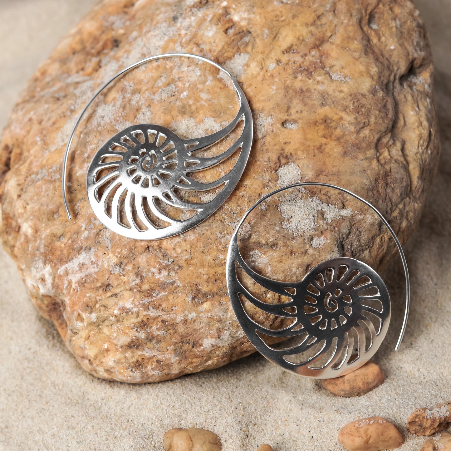 Shell Earrings (Code: EB41)