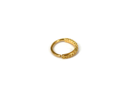 Continuous Dots Nose Ring (Code: NL30)