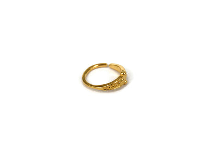 Ethnic Dotted Nose Ring (Code: NL31)