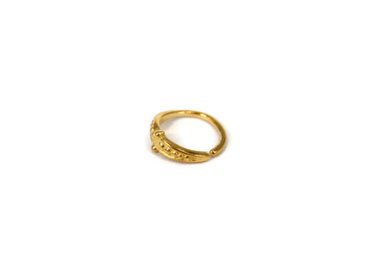 Ethnic Dotted Nose Ring (Code: NL31)